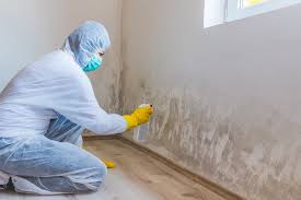 Reliable Kildeer, IL Mold Removal & Remediation Solutions