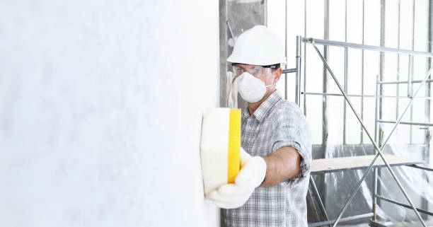 Best Emergency Mold Remediation  in Kdeer, IL