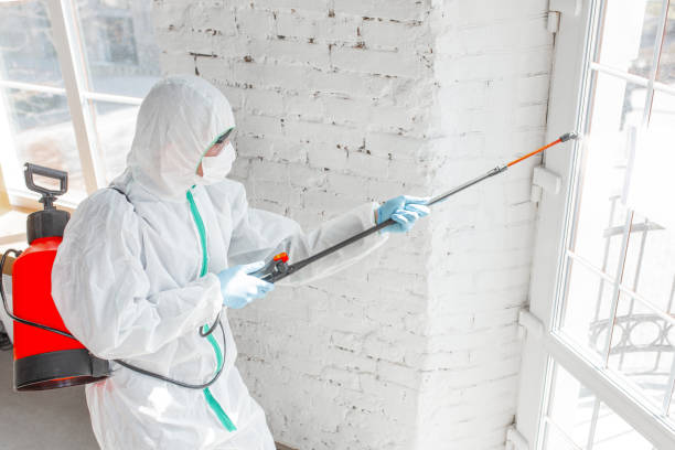 Best Mold Removal for HVAC Installations  in Kdeer, IL