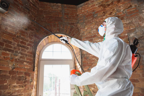 Best Residential Mold Inspection & Testing  in Kdeer, IL