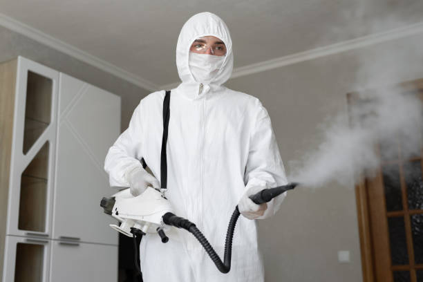 Best Mold Odor Removal Services  in Kdeer, IL